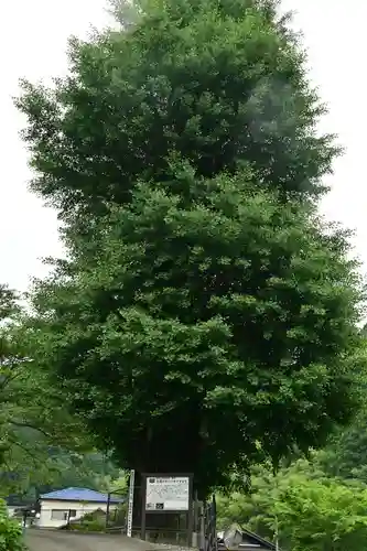 長福寺(徳島県)