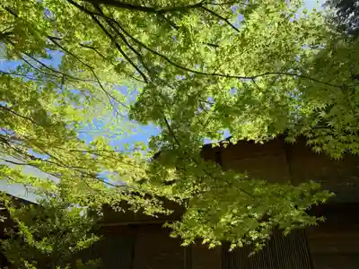 滑川神社 - 仕事と子どもの守り神(福島県)