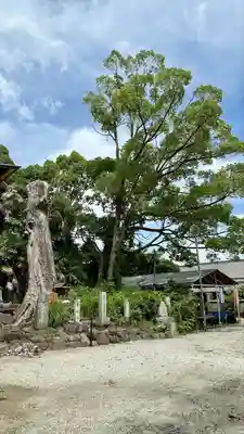 吉祥草寺(奈良県)