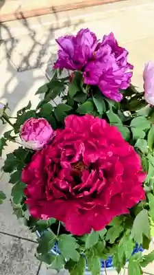 一乗寺(東京都)