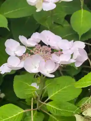 国上寺(新潟県)