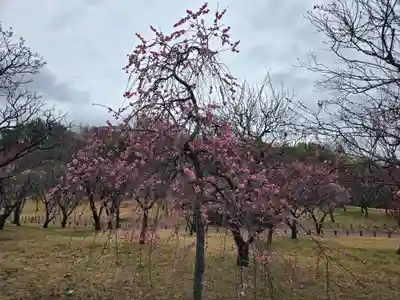 多治速比売神社(大阪府)