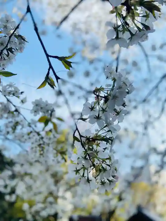 金王八幡宮(東京都)