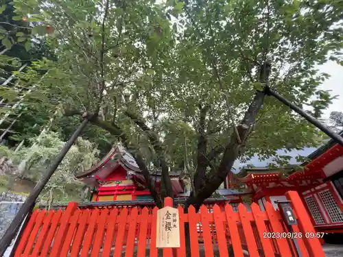 金櫻神社(山梨県)