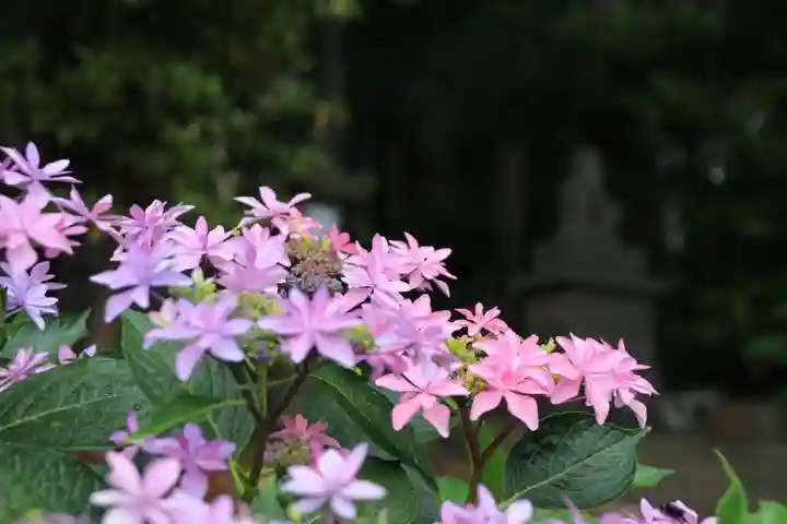 豊景神社の自然