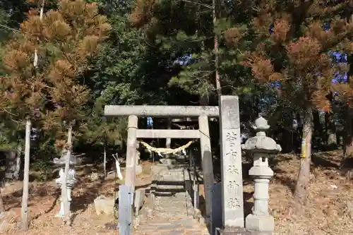 菅布祢神社の鳥居