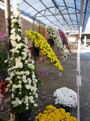 大光院 新田寺のその他建物