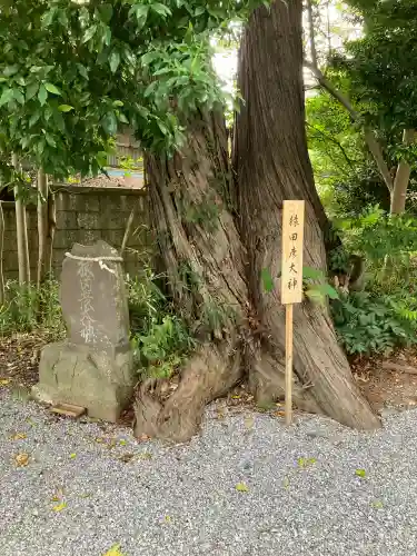 星宮神社(栃木県)