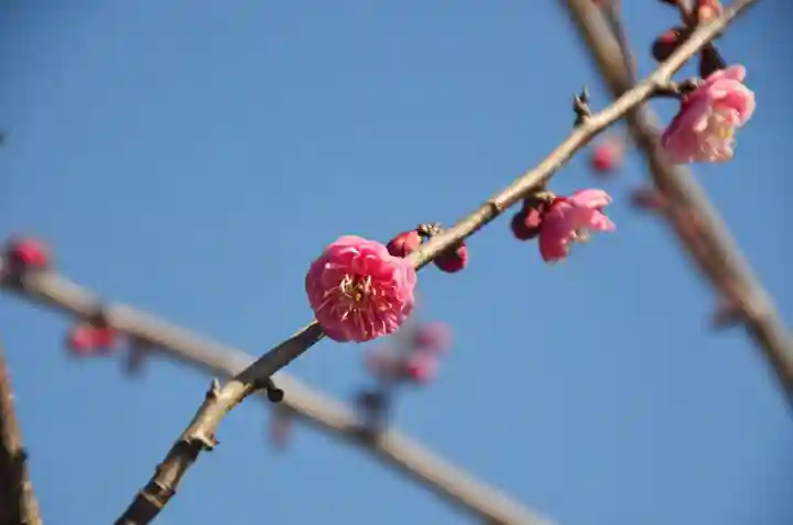 久能山東照宮(静岡県)