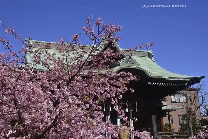 桜神宮(東京都)