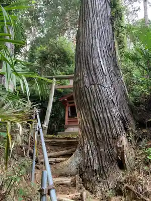 大宮神社(千葉県)