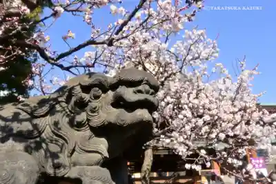 湯島天満宮の狛犬