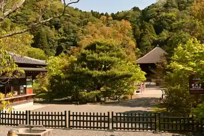 白水阿弥陀堂の本殿・本堂