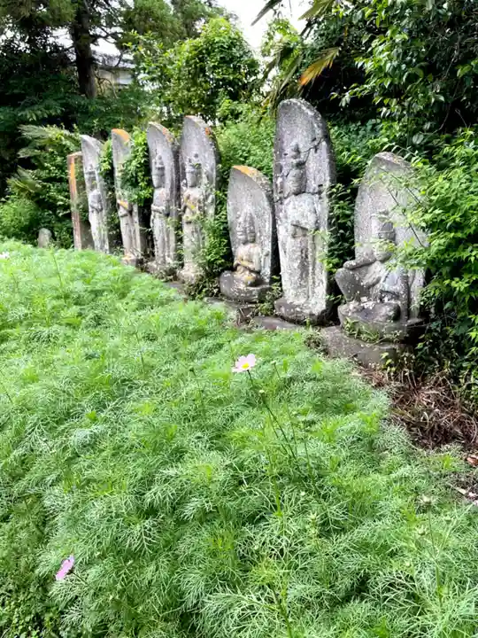 般若寺 ❁コスモス寺❁(奈良県)
