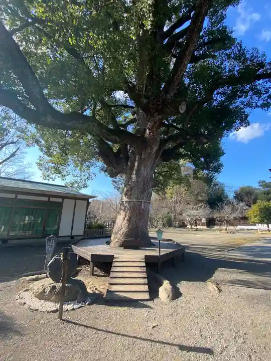 平野神社(京都府)