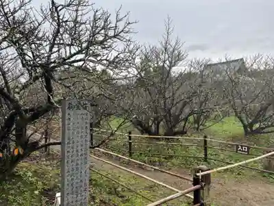 仁和寺(京都府)