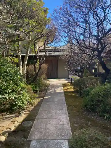 観音蜜寺(神奈川県)