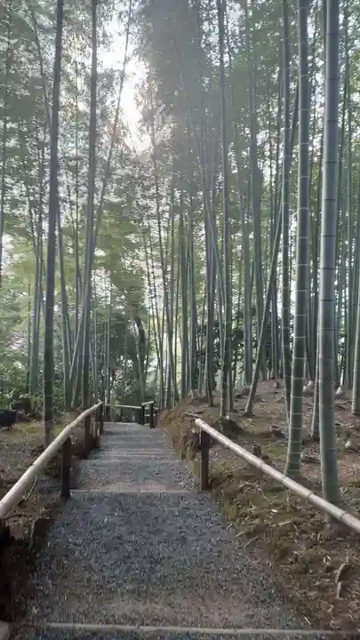 高台寺(高台寿聖禅寺・高臺寺)(京都府)