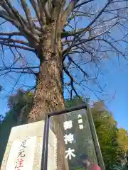 田無神社の自然