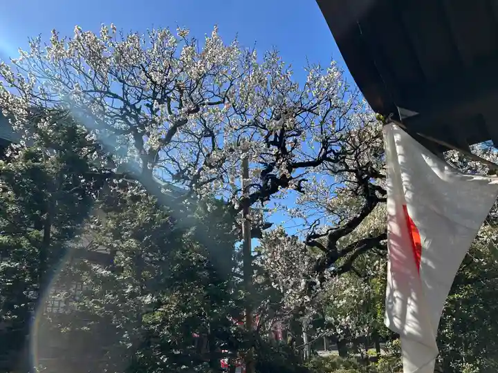 安養寺(東京都)