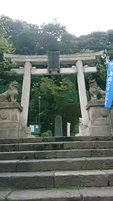 赤坂氷川神社の鳥居