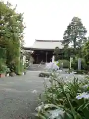 報恩寺の本殿