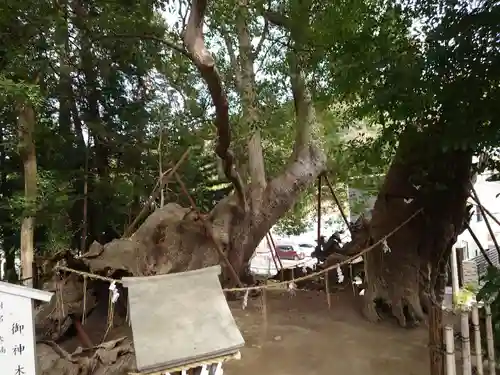 草薙神社の自然