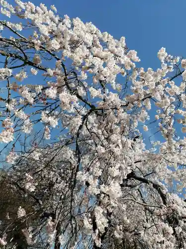 境香取神社の自然