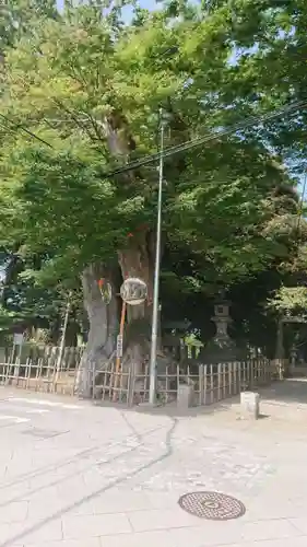 雀神社の自然