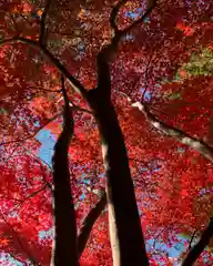 滑川神社 - 仕事と子どもの守り神の自然