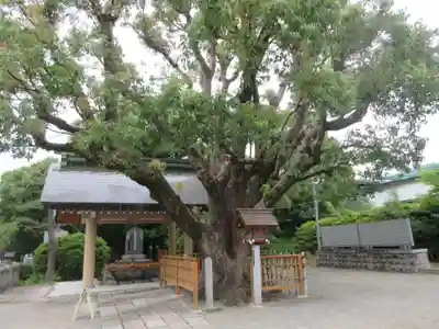 和泉國一之宮　大鳥大社のその他建物