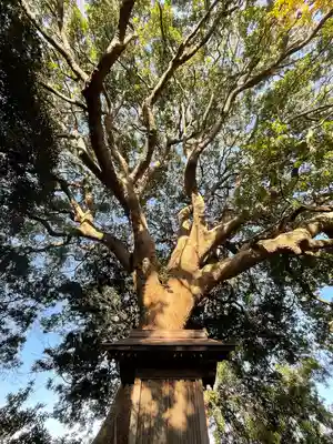 大宮皇神の自然