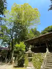 西大野八幡神社(福岡県)