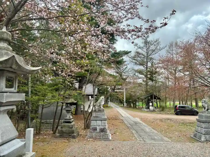 神楽神社の{uncategorized: "未分類", other: "その他", undefined: "問題あり", building: "その他建物", grave: "お墓", sacred_gate: "鳥居", guardian: "狛犬", statue: "像", buddha: "仏像", history: "歴史", nature: "自然", garden: "庭園", animal: "動物", pagoda: "塔", temizu: "手水舎", mountain_gate: "山門・神門", sanctuary: "本殿・本堂", subordinate: "末社・摂社", art: "芸術", scenery: "景色", jizo: "地蔵", ema: "絵馬", goshuin: "御朱印", omikuji: "おみくじ", items: "授与品その他", amulet: "お守り", goshuincho: "御朱印帳", eats: "食事", festival: "お祭り", votive_dance: "神楽", shichigosan: "七五三参", wedding: "結婚式", experience: "体験その他", initially: "初詣", around: "周辺", anti_infection: "感染症対策"}