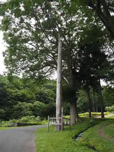 諏訪大社上社前宮の自然