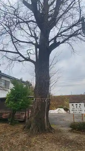 諏訪社(新潟県)