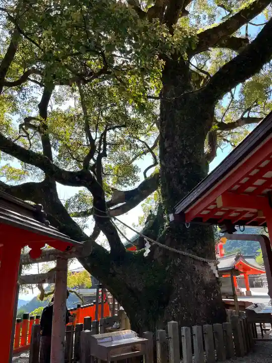 熊野那智大社(和歌山県)