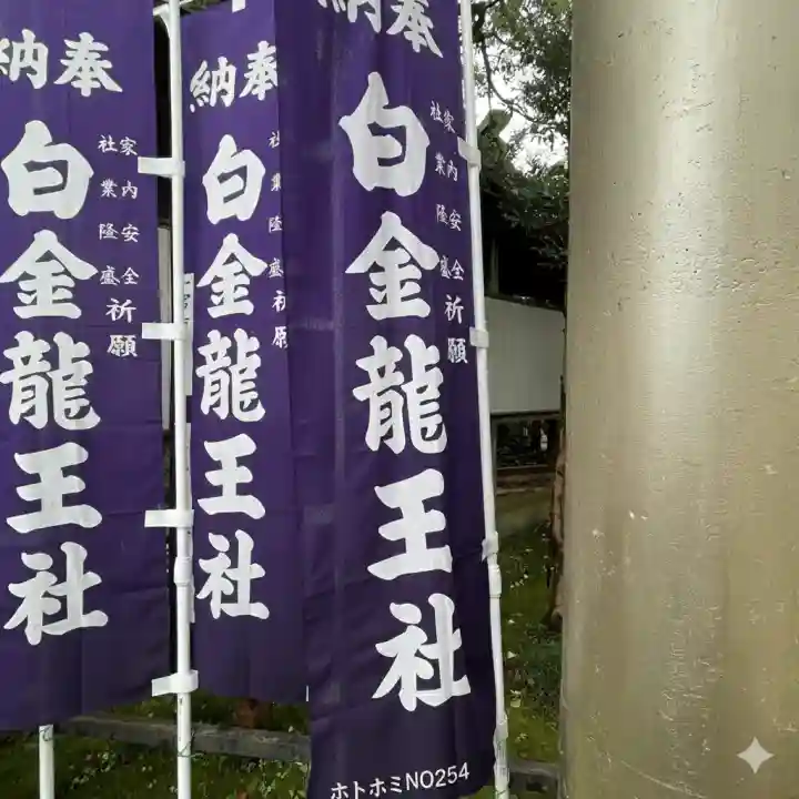 白金龍王社(愛知県)