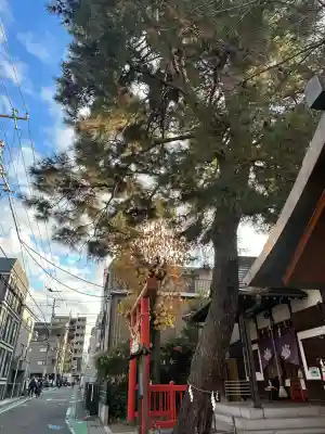 猿田彦神社(東京都)