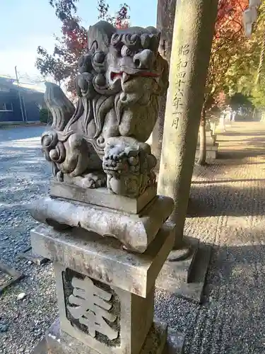 杉之木神社(滋賀県)