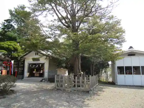 湯倉神社の自然