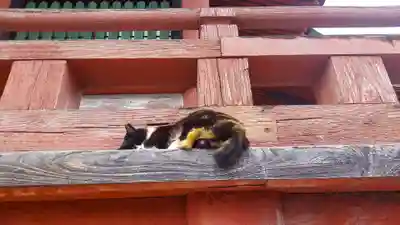 甲斐善光寺(山梨県)