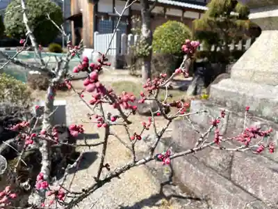 春日神社(奈良県)
