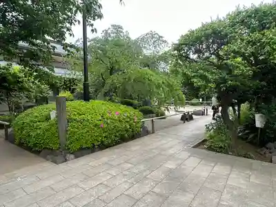 龍眼寺(萩寺)(東京都)