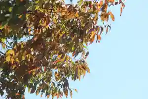 国宝 大法寺(長野県)(2023年10月14日(土) 10時57分37秒投稿)