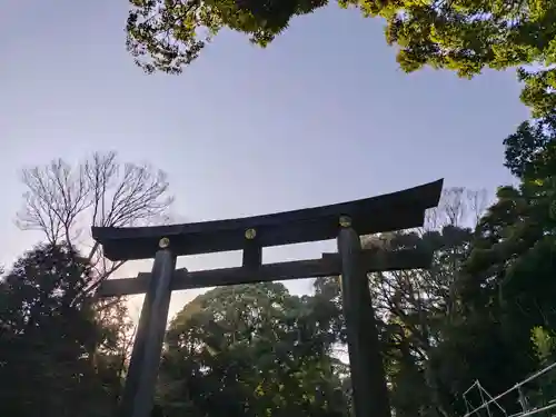 明治神宮(東京都)