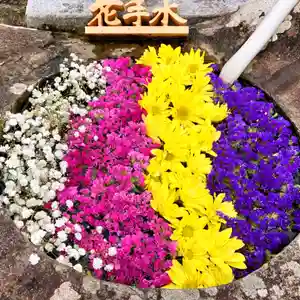 真言宗 善通寺派 薬王寺(香川県)(2024年05月07日(火) 15時46分41秒投稿)