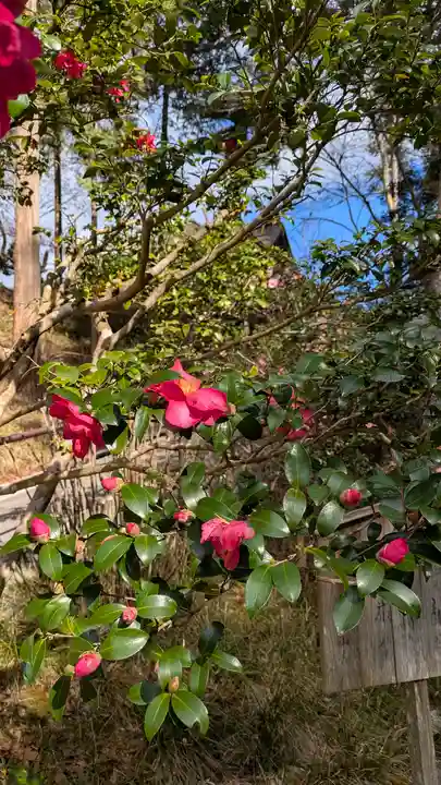 石山寺(滋賀県)