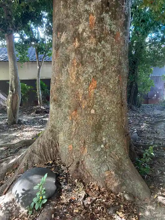 稲荷神社(兵庫県)