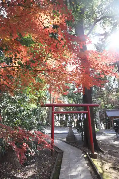 谷保天満宮(東京都)